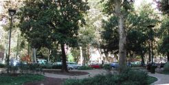 Riqualificazione Ambientale Genova, Piazza Savonarola
